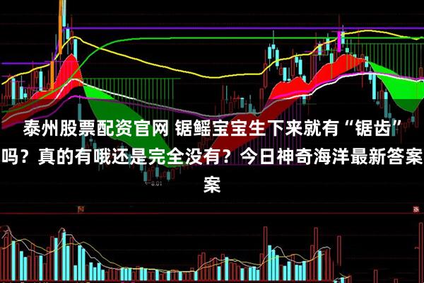 泰州股票配资官网 锯鳐宝宝生下来就有“锯齿”吗？真的有哦还是完全没有？今日神奇海洋最新答案