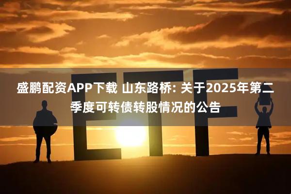 盛鹏配资APP下载 山东路桥: 关于2025年第二季度可转债转股情况的公告