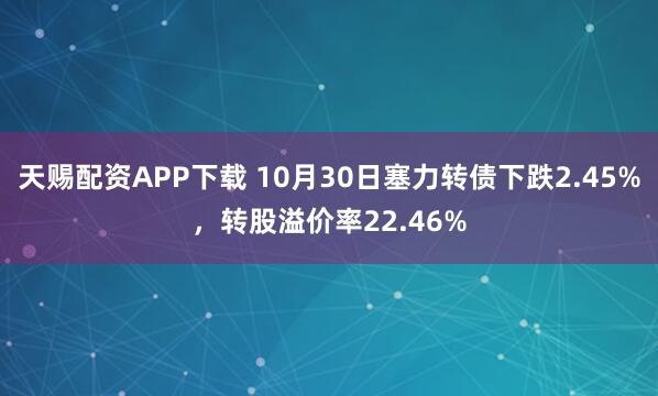 天赐配资APP下载 10月30日塞力转债下跌2.45%，转股溢价率22.46%